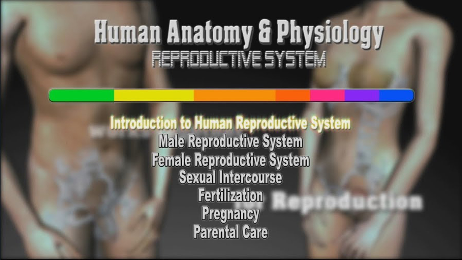3D Animation for Human Reproductive System video